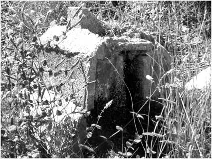 Harri Ansorge, Stone in the Sierra Nevada